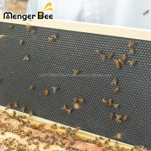 Customizable Wax Coating Medium Yellow Plastic Granulated Beeswax <b>Foundation</b> Bee Honeycomb Pale - Product Image 6