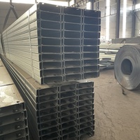 Hot Dipped Galvanized Steel C Channel HDG Coated Perforated C Purlin for Solar Panel Bracket and Roofing