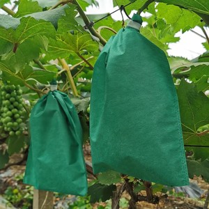 Bolsas de <span class=keywords><strong>malla</strong></span> de tela <span class=keywords><strong>no</strong></span> tejida <span class=keywords><strong>para</strong></span> cubrir frutas, bolsas de <span class=keywords><strong>malla</strong></span> con cordón, bolsas de <span class=keywords><strong>malla</strong></span> protectoras <span class=keywords><strong>para</strong></span> plantas, frutas y flores - Product Image 1