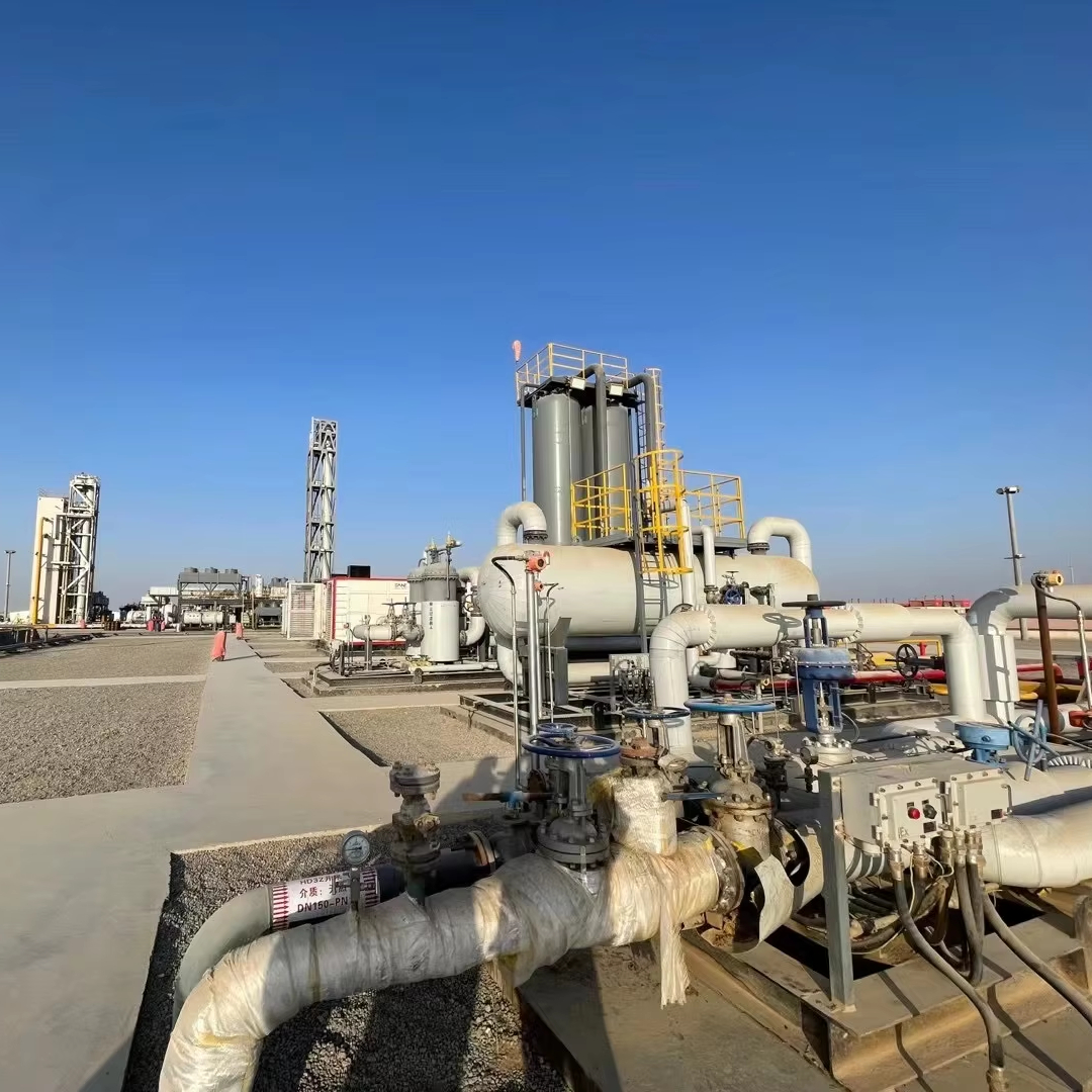 6x104 Нм 3/d LNG газогенерационное оборудование с температурой 60, давление STD 1,01325 bara, выходной диапазон 1,12 ~ 1,18 bara