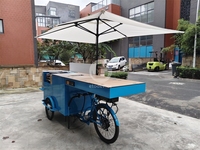 Vélos de livraison personnalisés pour glaces et restauration rapide, chariot à pousser artisanal pour boissons itinérantes
