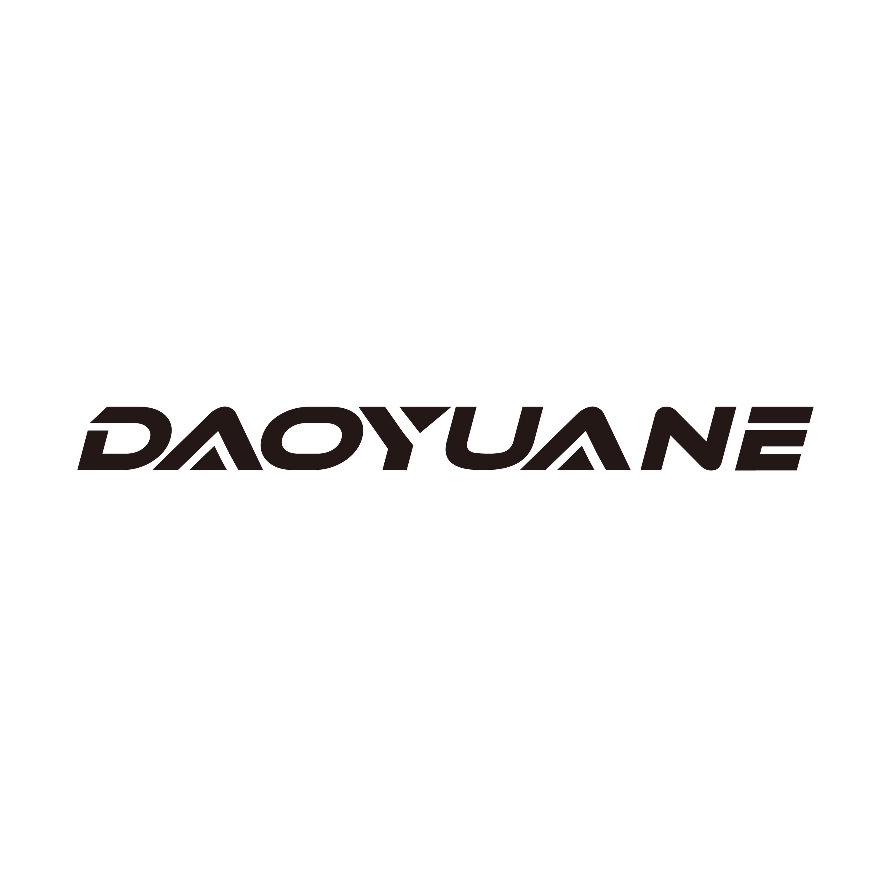 Shenzhen Daoyuanyi Technology Co., Ltd. logo