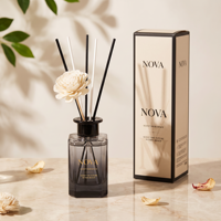 Diffuseur à roseaux NOVA 150ml en verre sans BPA ni alcool, longue durée, avec logo personnalisé pour salon, loisirs quotidiens, élégant