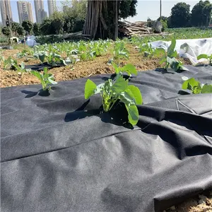 Hot Sale Anti-UV High Strength Aging Resistant Ground Cover Weed Control Mat Raw Material PP Nonwoven Fabric