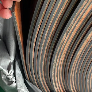 Dapat disesuaikan sabuk konveyor punggung terbuka lapisan EP/NN untuk penanganan Unit ringan - Product Image 5