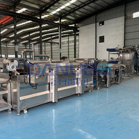 OEM volautomatische notenverwerkingsapparatuur continue friteuse pinda-friteuse