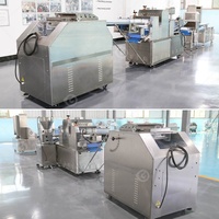 Ligne complète de production de pain baguette Burgwr Roll pour toast arabe 2024