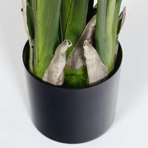 Plantes artificielles en plastique, palmier du voyageur vert en pot, pour l'intérieur <span class=keywords><strong>et</strong></span> l'extérieur, décoration de la maison, du bureau <span class=keywords><strong>et</strong></span> du jardin, sans <span class=keywords><strong>entretien</strong></span> - Product Image 3