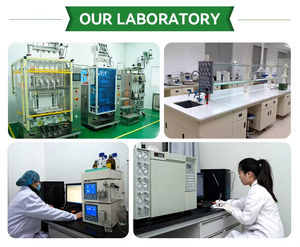 Estratto Erboristico di Polygonum Multiflorum Selvatico al 10% di Alta Qualità, Grado Alimentare, CAS 82373-94-2, Polvere in Contenitori di Vetro Sottovuoto - Product Image 6