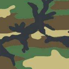 camouflage