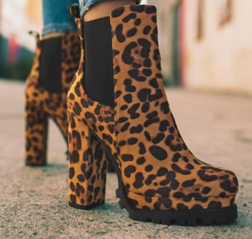 Leopard