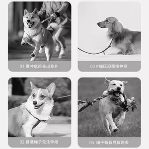 Automatic Retractable <b>Dog</b> Leash 5M Strong Nylon Rope 200Lb Tensile Strength Medium Breed Use - Product Image 3