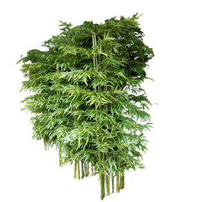 Nouvelle Collection 2026 : Plante Artificielle <span class=keywords><strong>Bambou</strong></span> Chanceux en Plastique, Idéale pour l'Intérieur et l'Extérieur, Décoration Paysagère - Product Image 2