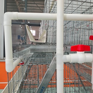 500 tavuk yetiştiriciliği döşeme tavuk yumurta tabakası pil a-tipi tavuk kafesi için kümes hayvancılığı özel katmanlı tavuk kafesi tavuk döşeme - Product Image 2