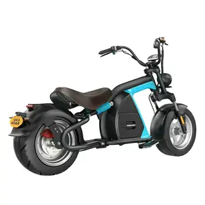 2020 nuevo diseño chino barato de la Fábrica de la CEE COC Citycoco Scooter Eléctrico