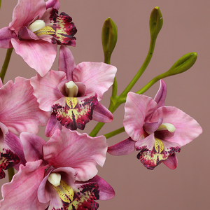<span class=keywords><strong>Orchidée</strong></span> <span class=keywords><strong>Cattleya</strong></span> à tige unique à 3 têtes-Fleur artificielle pour la maison, le mariage et la décoration - Product Image 5