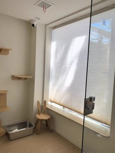 Persianas Celulares Inalámbricas de Día <span class=keywords><strong>y</strong></span> <span class=keywords><strong>Noche</strong></span>, Económicas, Fabricadas en China, para Ventanas de Dormitorio <span class=keywords><strong>y</strong></span> Sala de Estar, <span class=keywords><strong>Cortinas</strong></span> Opacas - Product Image 1