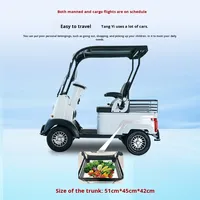 Mini Bus X2 Scooter de mobilité pour enfants âgés à deux places Véhicule électrique couvert à quatre roues Moteur de 650kW Portée de 80km