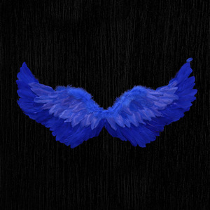 ขนนกนางฟ้า16สี80ซม. การแสดงบนเวทีคอสเพลย์วันฮาโลวีนงานปาร์ตี้อีสเตอร์สีฟ้าสำหรับเด็ก - Product Image 2