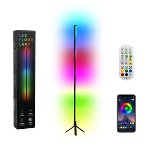 Dream color Home Decoration Floor Lamp Smart Corner Floor Standing Light Remote Control LED RGB Floor Lamp for indoor room