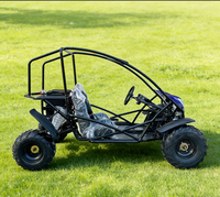 Quad électrique 2000 W équipé d'un blocage différentiel LNA, buggy OEM ODM pour adultes