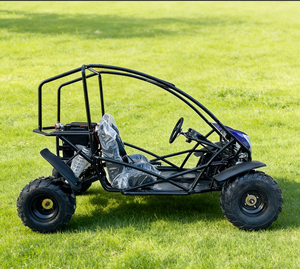 <span class=keywords><strong>Quad</strong></span> <span class=keywords><strong>électrique</strong></span> 2000 W équipé d'un blocage différentiel LNA, buggy OEM ODM pour adultes - Product Image 4