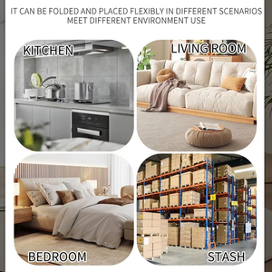 Trampas de Pegamento para Ratones Desechables y Ecológicas de Guangdong para Uso en Interiores y Granjas - Product Image 6