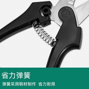 Sécatrices en acier inoxydable noires robustes, outil de jardin pour cueillir les fruits - Product Image 5