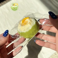 Jouet Squishy en Silicone en Forme de Noix de Coco à Remontée Lente, Anti-Stress Sensoriel Kawaii Unisexe, Cadeau pour 14 Ans et Plus, Vente en Gros