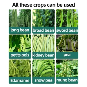 Engrais organique à haut rendement Engrais spécial pour haricots longs pour une <span class=keywords><strong>promotion</strong></span> abondante des racines Prévenir les maladies et les ravageurs des plantes - Product Image 4