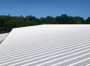 Presale White King Kong cairan lapisan berbasis air Dinding awal burung diskon pemesanan di muka manfaat promosi musiman peluncuran - Product Image 5