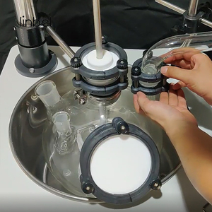 10L Single Layer Glass Lined Chemical <strong>Fermenter</strong> <strong>Bioreactor</strong> for Laboratory - Product Image 4