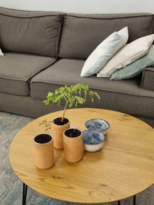 Top Selling Diy <strong>Bonsai</strong> Kit Wooden Garden Starter Plant Set Grow Your Own <strong>Bonsai</strong> Kit Hydroponic Terracotta Grow Kit - Product Image 4