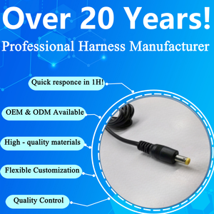 ชุดสายไฟ DC แบบพิกเทล ตัวเชื่อมต่อแบบตัวผู้-ตัวเมีย แกนทองแดง สายพีวีซี สำหรับกล้องวงจรปิด ไฟ LED และแหล่งจ่ายไฟอุตสาหกรรม - Product Image 6