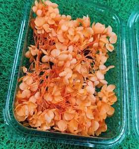 ดอกไฮเดรนเยียสีส้มอบแห้ง ดอกไม้ประดิษฐ์ วัสดุธรรมชาติสำหรับงาน DIY เรซิ่นอาร์ต ทำเทียน สมุดภาพตกแต่งบ้าน - Product Image 1