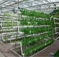 Grande tour hydroponique de jardin NFT, tuyau en Pvc avec pompe à eau pour les légumes et les fruits, livraison gratuite