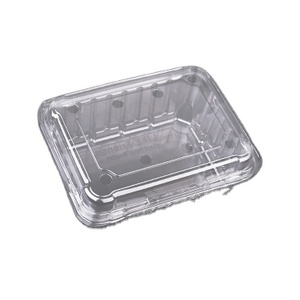 Wholesale Disposable Plastic Packing Box For Fruit Veagetable