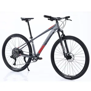 Factory Directly 29 Inch Aluminum Alloy Sports Mountain Bike for Men Professional 12 Speed MTB Bicycle For Sale