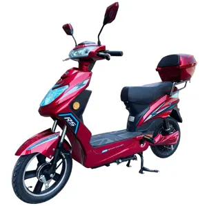 China Cheap Electric Scooter 48V 500W Off Road Scooter Electrico With Pedal Assist El Scooter For Sales