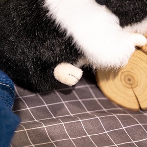 Muñeca de peluche de cerdo holandés, muñeca bonita, celebridad de Internet, venta al por mayor, decoración bonita para dormir, regalo de Festival de conejillo de indias - Product Image 6