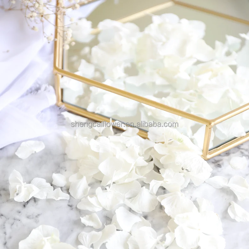 wedding petal biodegradable confetti