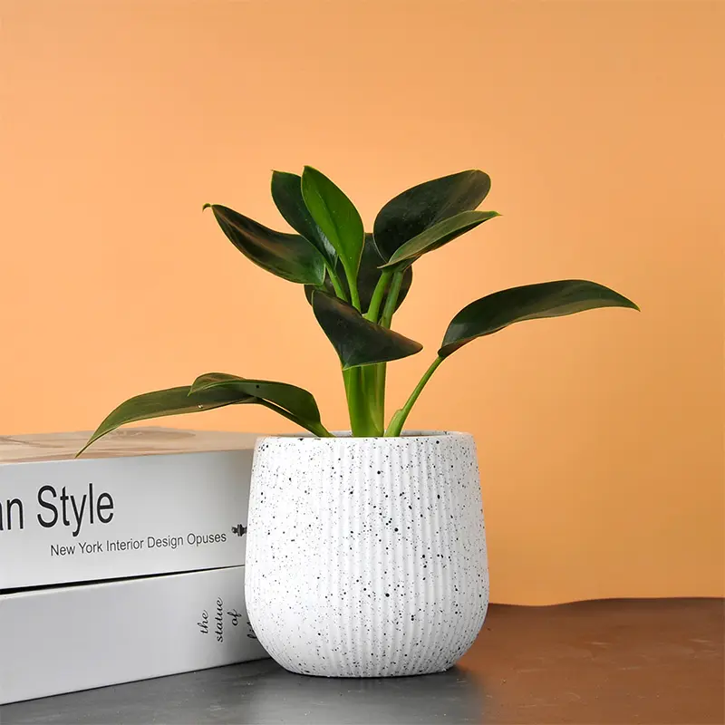 Großhandel Mini Blumentöpfe Pflanzer Topf Runde Kunststoff Blume für Pottable Dekoration