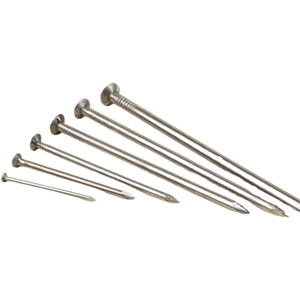 Clous en acier argenté à tête plate/ronde avec tige lisse, zingués, diamètre de la tête de 2 mm à 12 mm, qualité DIY - Product Image 6