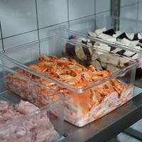 Wadah Penyimpanan Makanan Gastronorm Plastik PC Transparan Komersial Grosir Ramah Lingkungan Tahan Air 5L Tutup Geser Botol Pantry
