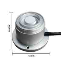 RS485 4-20mA 0-5V Lumière Radiante Compteur Quantique Pyranomètre Soleil PAR Capteur de Rayonnement Photosynthétiquement Actif