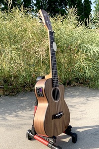 Trung quốc hàng đầu Ukulele nhà máy Aiersi thương hiệu 24 inch buổi hòa nhạc Ukulele biểu tượng tùy chỉnh vật liệu khác nhau Ukelele Guitar nhạc cụ - Product Image 5