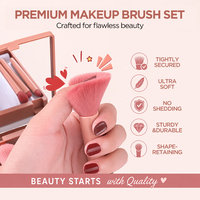 Ensemble de pinceaux de maquillage miniatures professionnels de haute qualité pour le visage, avec logo personnalisé, étiquette privée, pour la maison et les voyages, avec boîte miroir en nylon