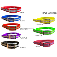 Ensemble collier et laisse pour chien rose vif classique en TPU, PVC et polyester, mignon, souple, lumineux, moderne, réglable, à dégagement rapide et anti-étranglement