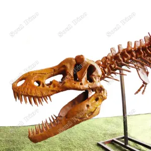 למכירה שלד דינוזאור סימולציה בגודל טבעי מותאם אישית