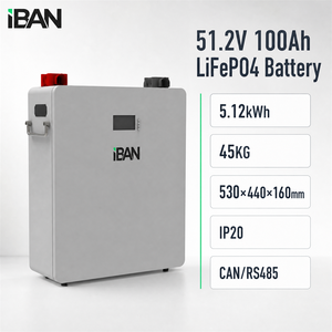 ระบบกักเก็บพลังงานแสงอาทิตย์สำหรับบ้านแบบติดผนัง 51.2v 100ah ผลิตตามสั่งจากโรงงาน - Product Image 2